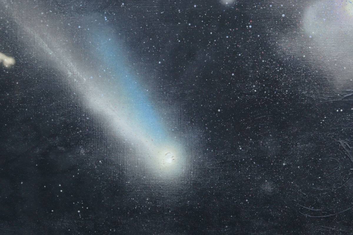 ◇錵◇ 真作保証 深見東州 「宇宙の果ての花畑」 リトグラフ 84/300 T