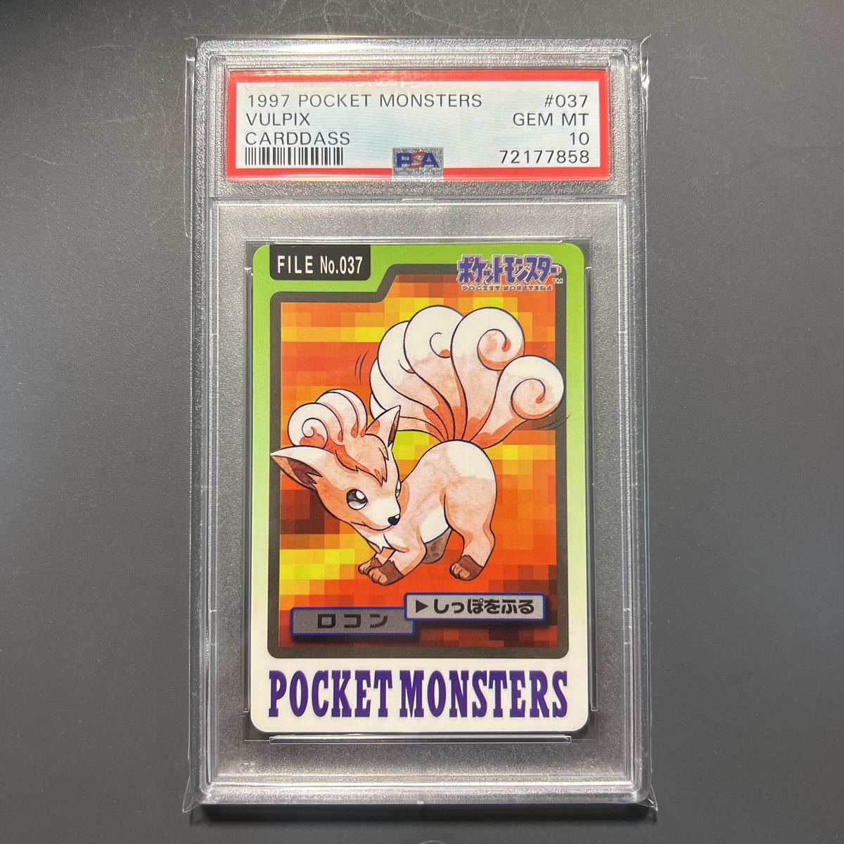 PSA10】ポケモンカードカードダスロコン