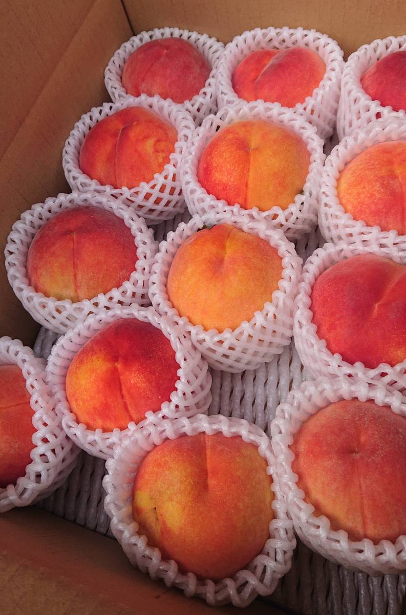 お中元、贈り物に。送料無料♪売り切れゴメン！香り良く濃厚な甘さのマンゴーピーチ３キロ美品