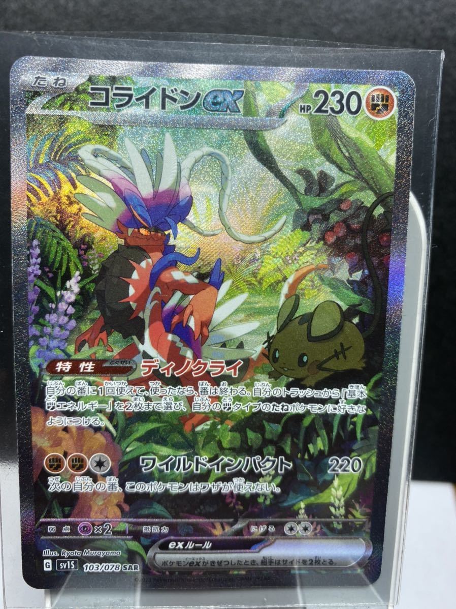 ポケモンカード 『コライドンex 』SAR SAR コライドンex ポケモン