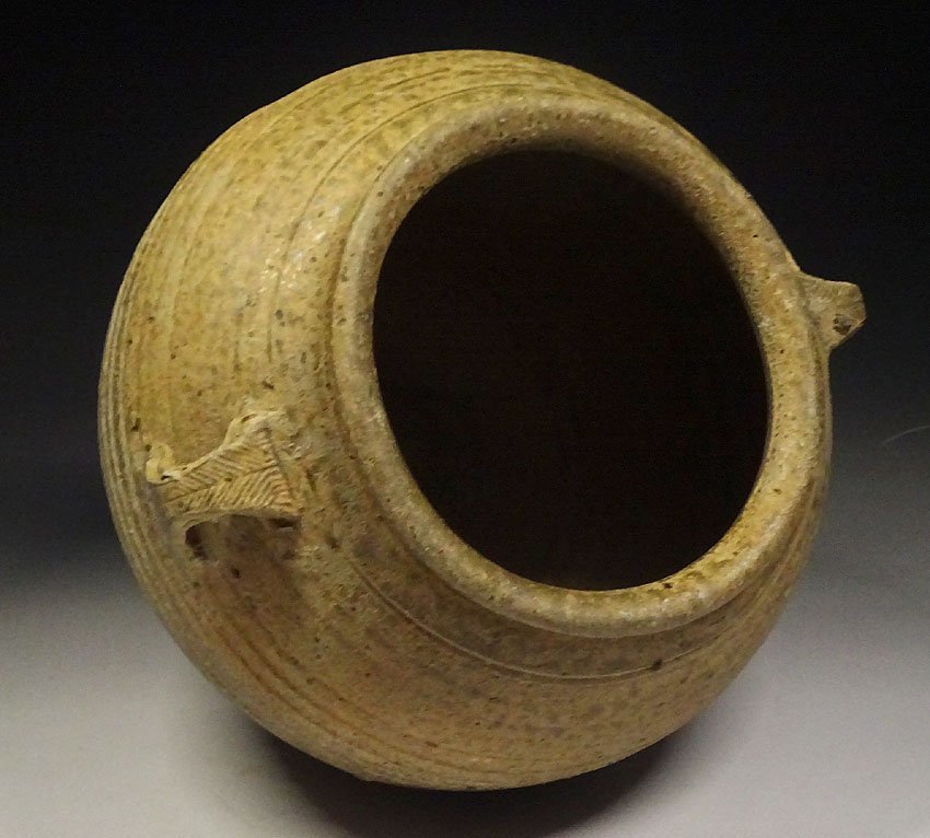 中国 収蔵品詳細 作品を知る 中国古玩 壺 灰釉双耳壺 文化