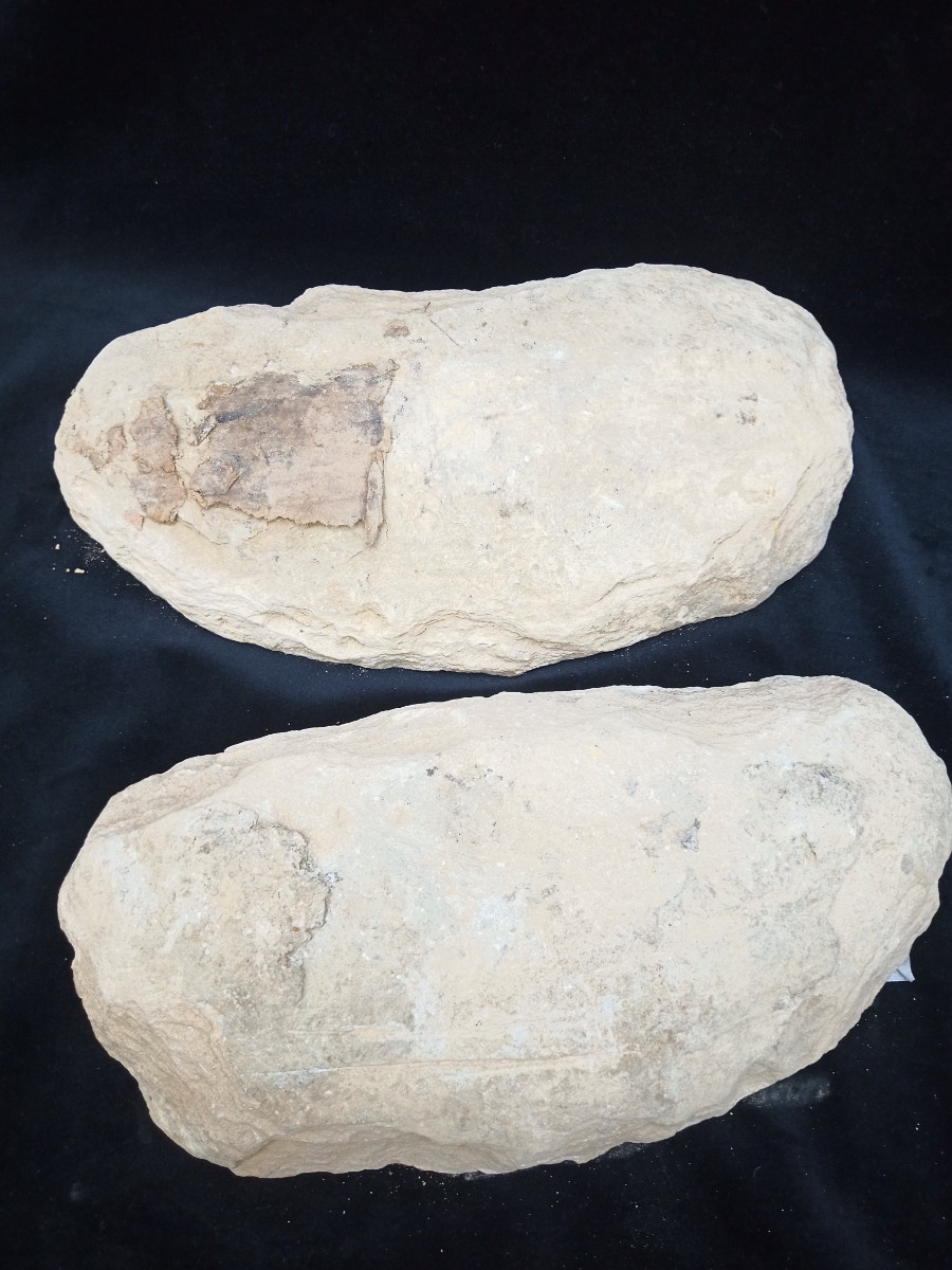 魚の化石 三種まとめ 両面 片面 重さ約2，740g、2，226g、1，318g 出土