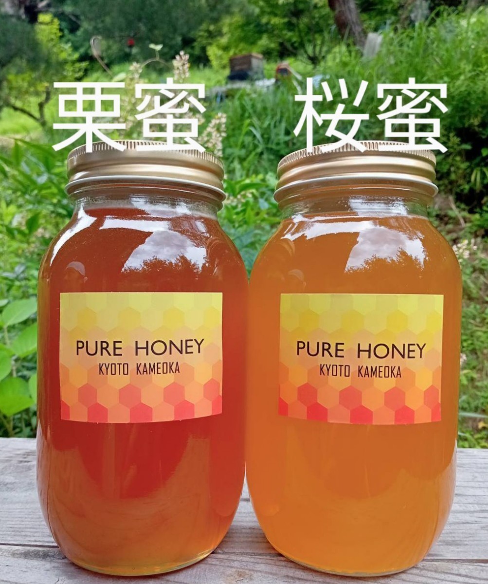 国産 蜂蜜 純粋 はちみつ 1.2kg2本 食品 1.2kg 2本 公式通販 栗蜜