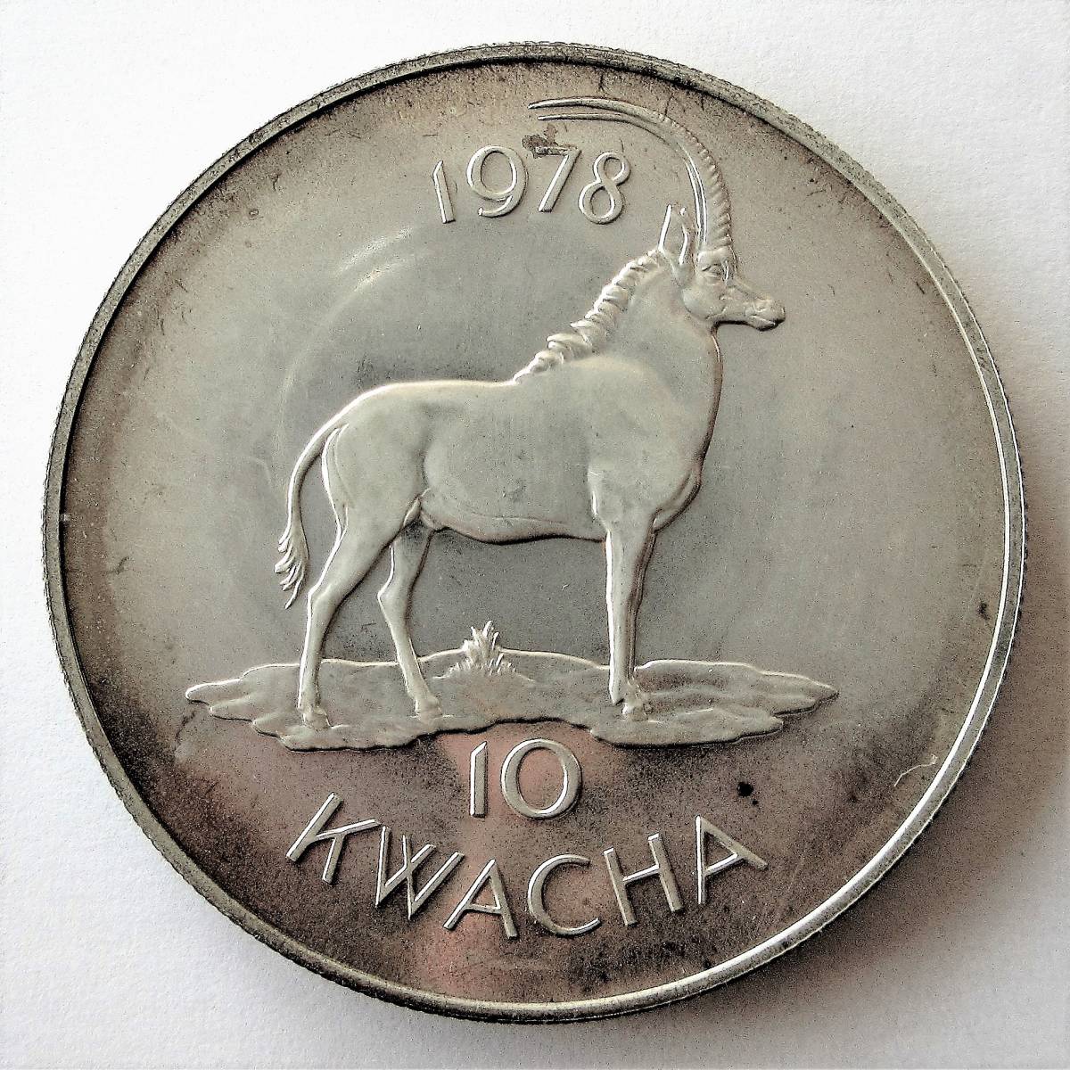 マラウイ 10クワチャ銀貨 プルーフ 1978年 42.01mm 35.34g 記念貨