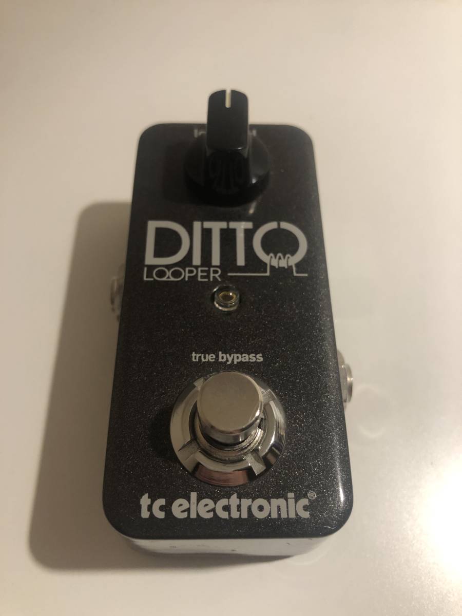 tc electronic DITTO Looper ルーパー