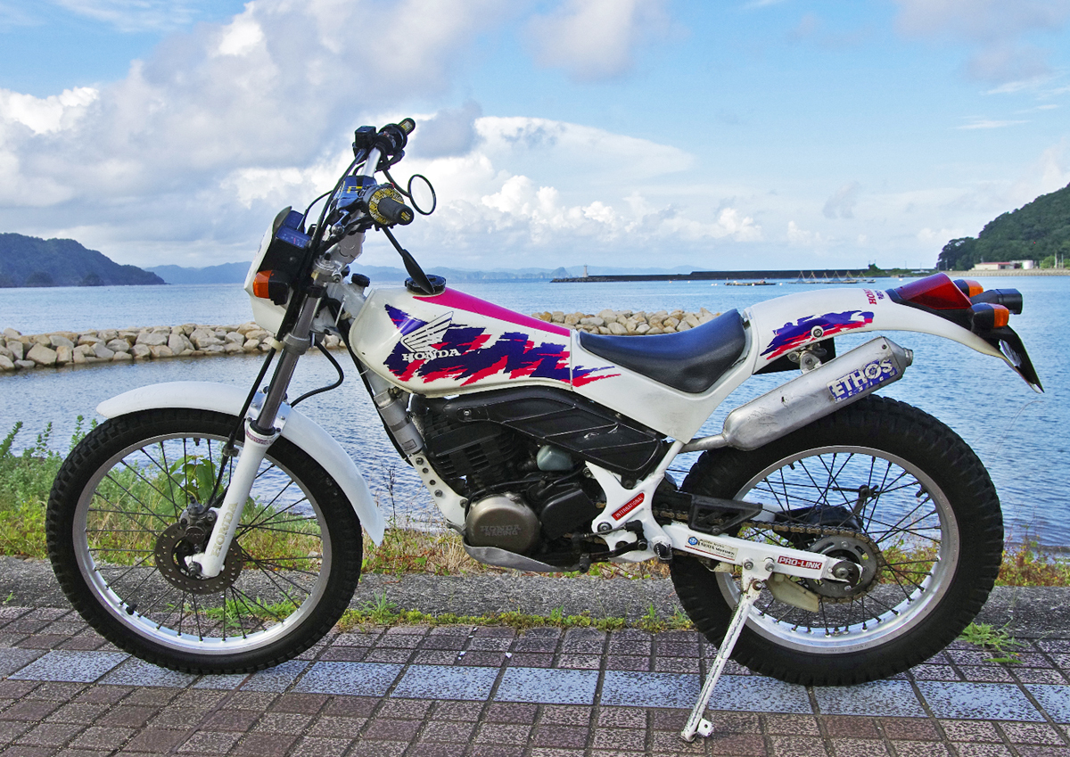 ホンダTLM220R　　　所さんのTLM200改バイソン仕様にあこがれて・・・の途中　　　　参考動画有　　　高知県から　　　