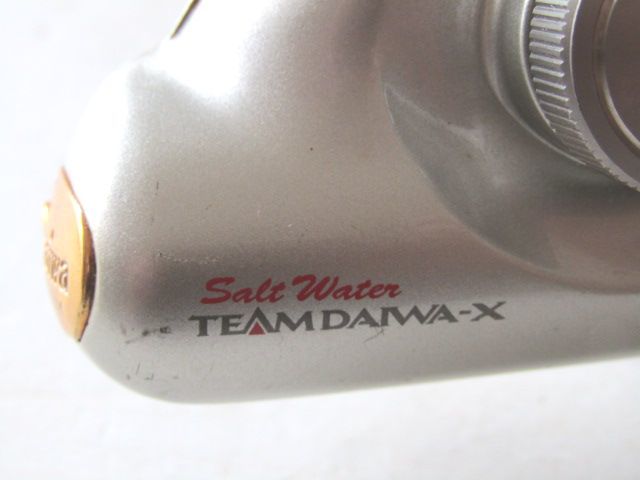 ☆TEAM DAIWA-X Salt Water 6000HiA 大型スピニングリール チーム
