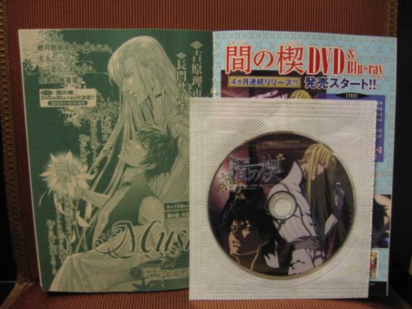 小説Chara Vol.25特別付録「間の楔」OVA化記念SPECIAL DVD 小説Chara Vol.25付録『間の楔』 新品DVD＆番外編小説『Musk