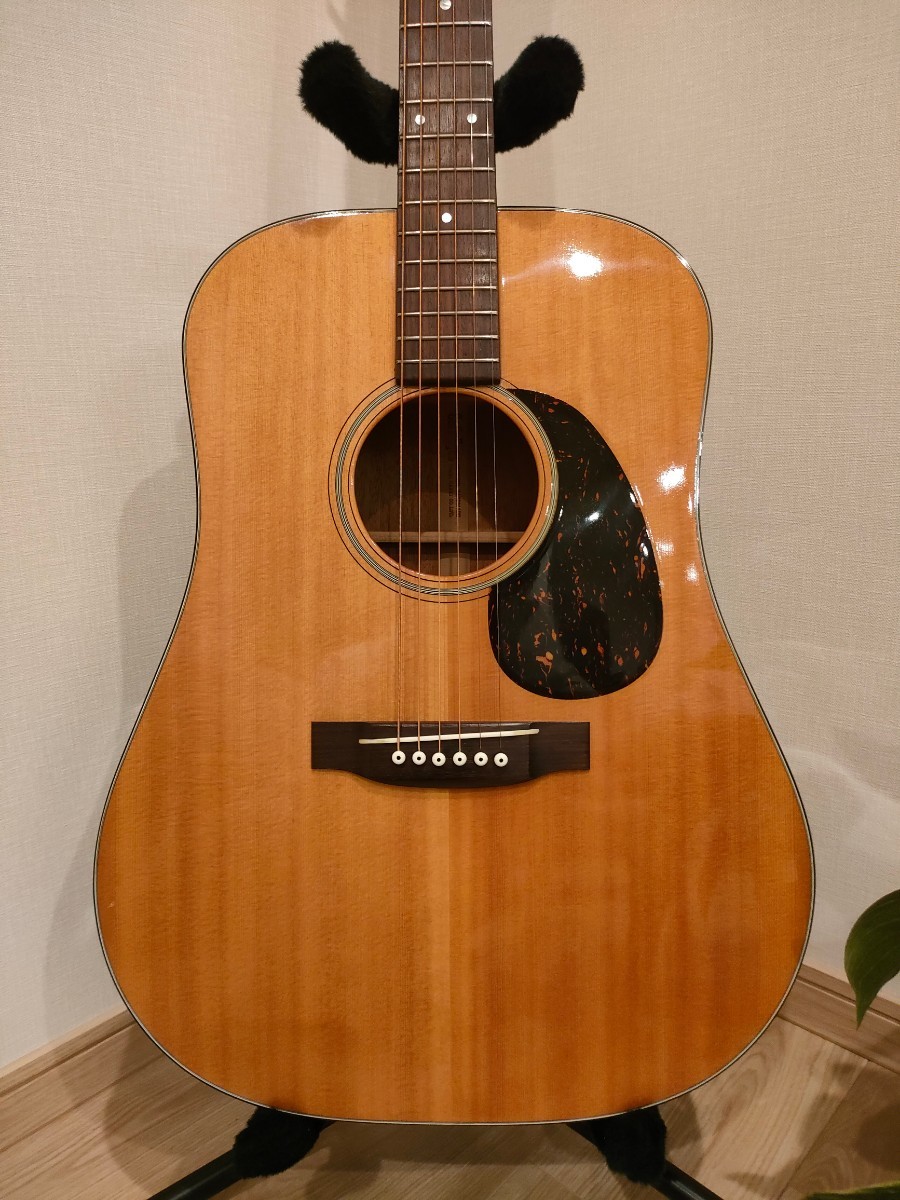 Tokai Cat