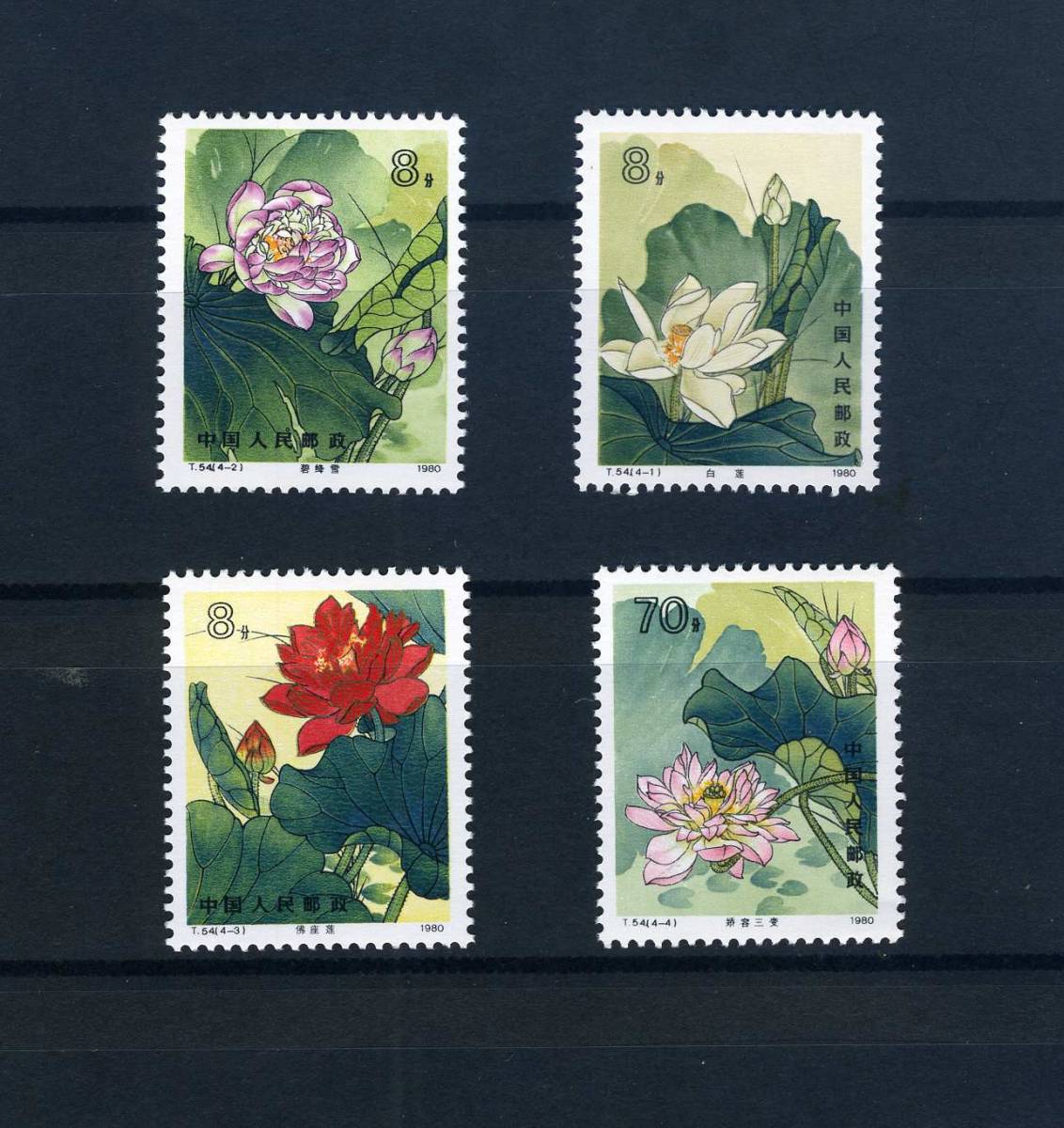 中国切手 蓮の花 T54 1980 【公式通販】