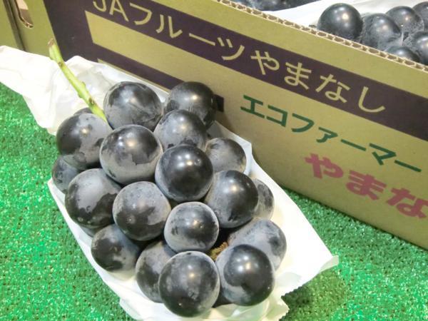 【Good】大粒 種なしブドウ 『ブラックビート』 3～5房入り 約2kg ご予約