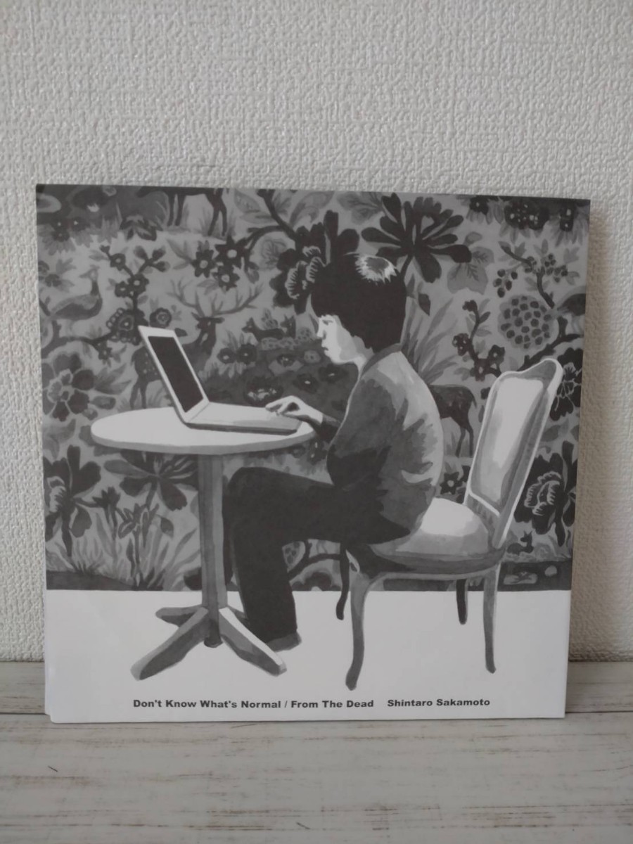 坂本慎太郎 / まともがわからない / 7インチ レコード / ゆらゆら帝国