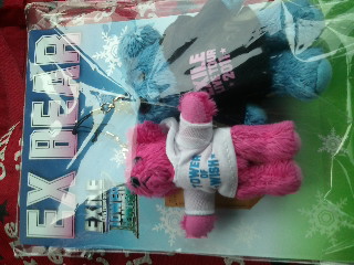 EXILE2011ツアーグッズ EXBEARストラップ AKIRA　②_1