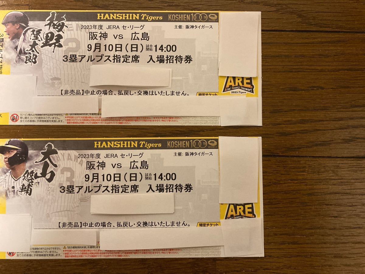 9月10日(日)阪神vs広島 3塁アルプス指定席入場招待券2枚セット