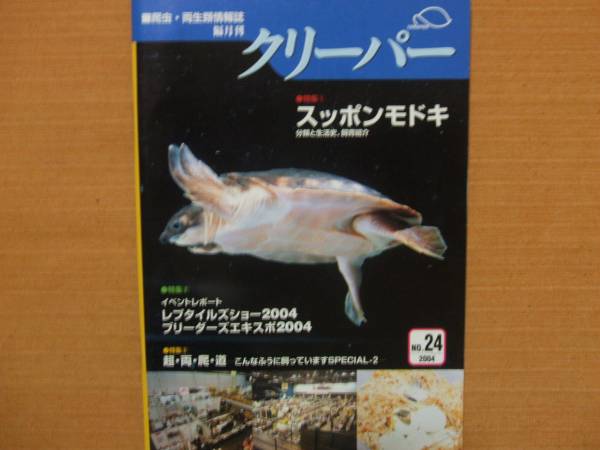 No 24 クリーパー スッポンモドキ 爬虫類 両生類 売買されたオークション情報 Yahooの商品情報をアーカイブ公開 オークファン Aucfan Com