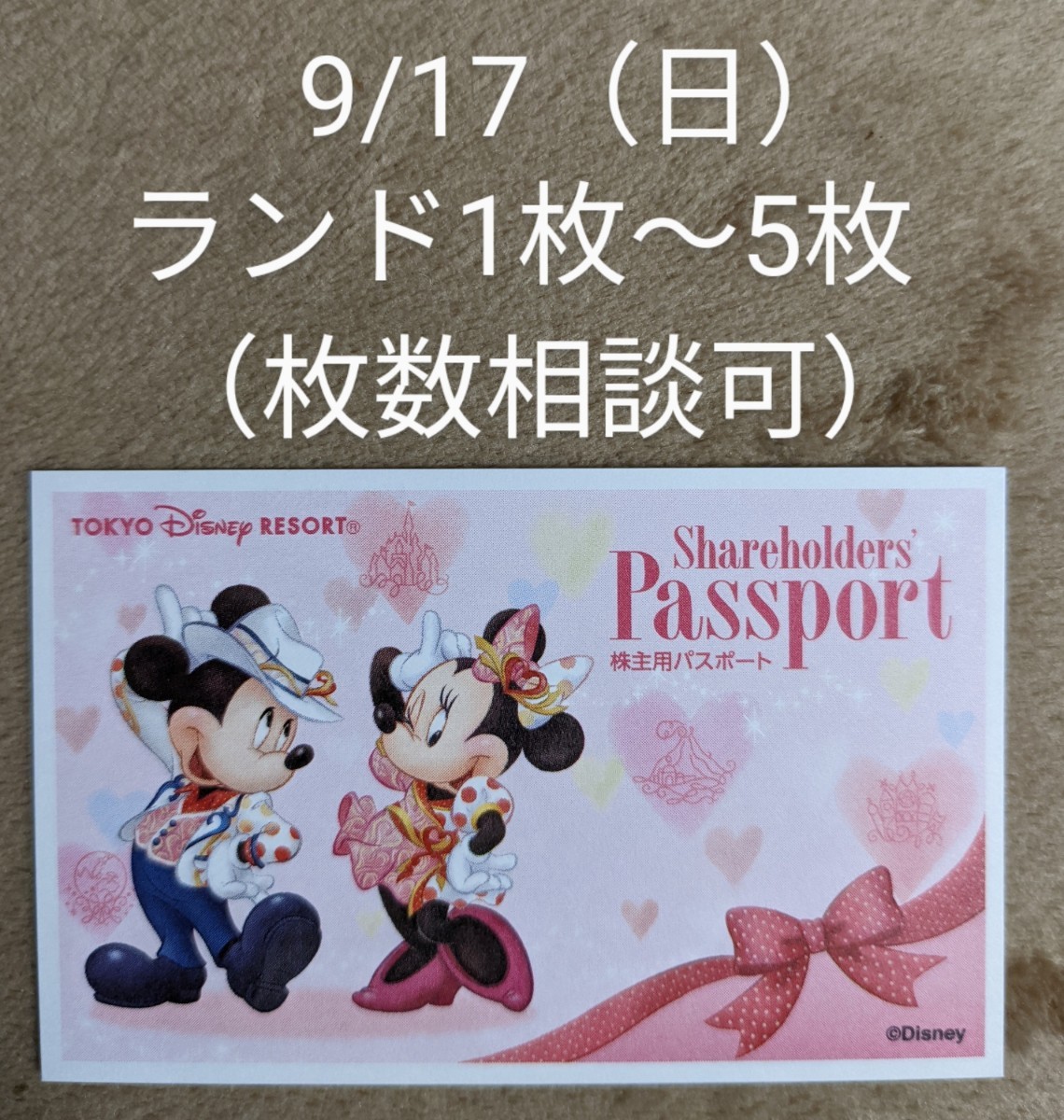 9/17（日）ディズニーランド チケット1枚〜5枚 1デーパスポート1枚〜5