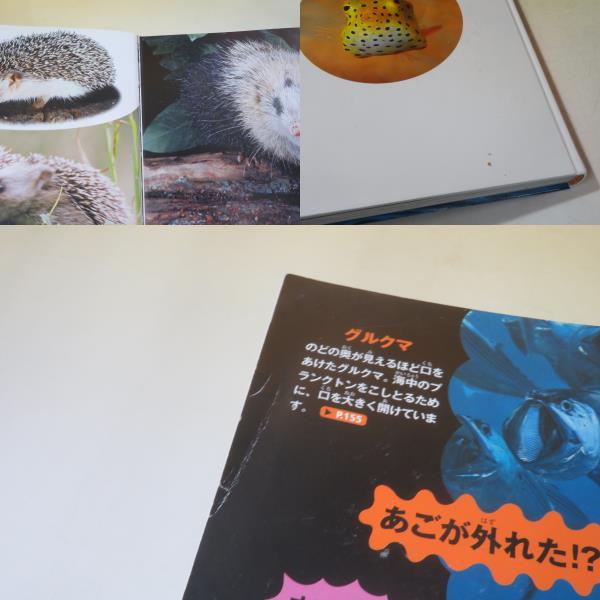 中古】講談社の動く図鑑 WONDER MOVE 全9冊セット 大自然のふしぎ/宇宙