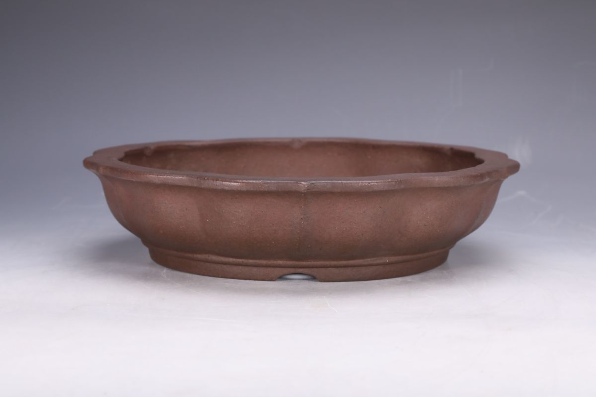 盆栽鉢 山秋造 松泉焼 常滑 盆栽 鉢 60cm 大型 特大 常滑焼 松泉