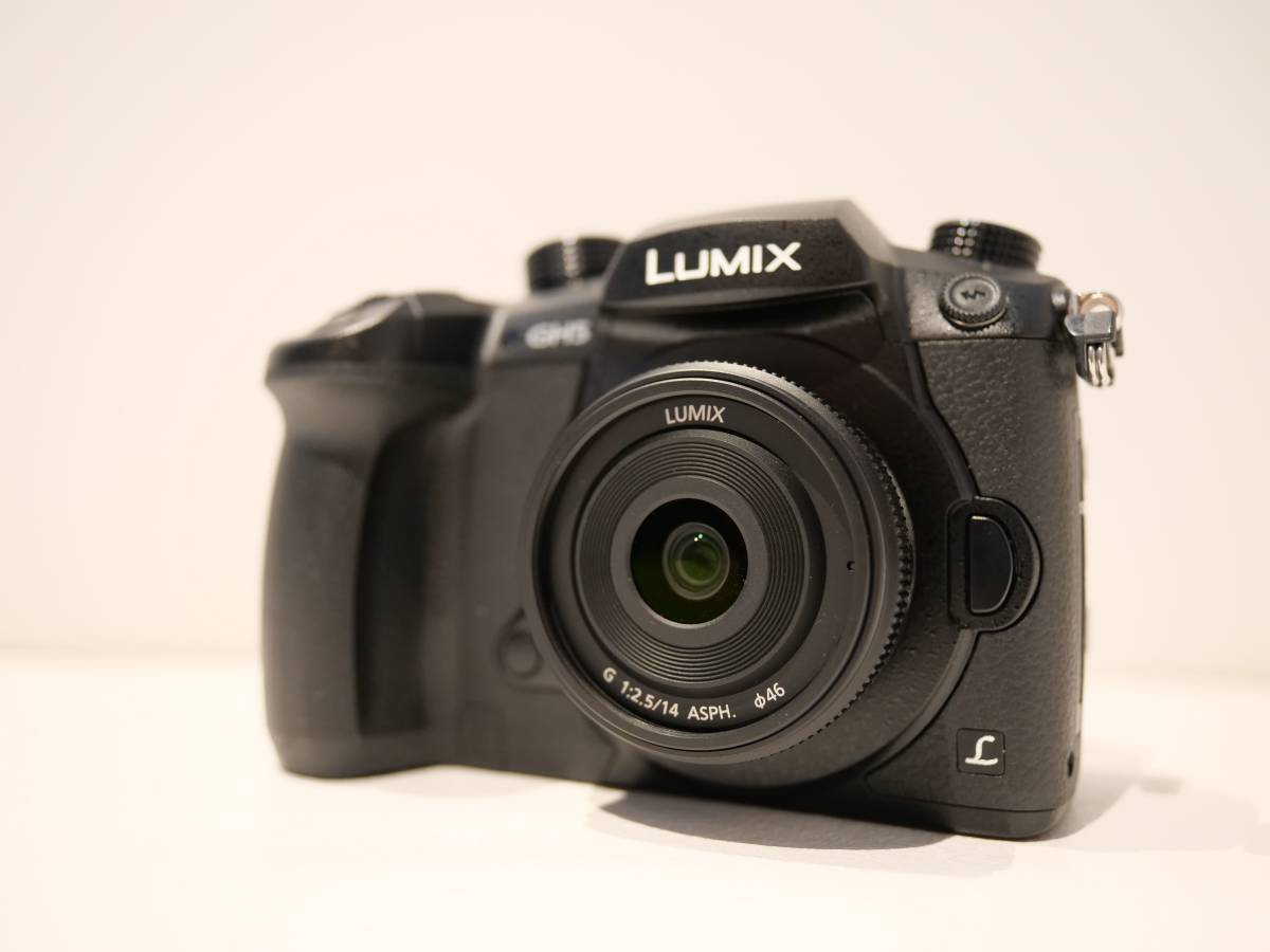 Panasonic LUMIX DC-GH5 / LUMIX G 14mm F2.5 ASPH RD-SPM049 #1395 Panasonic Mirrorless Lumix | Wikipedia Shots