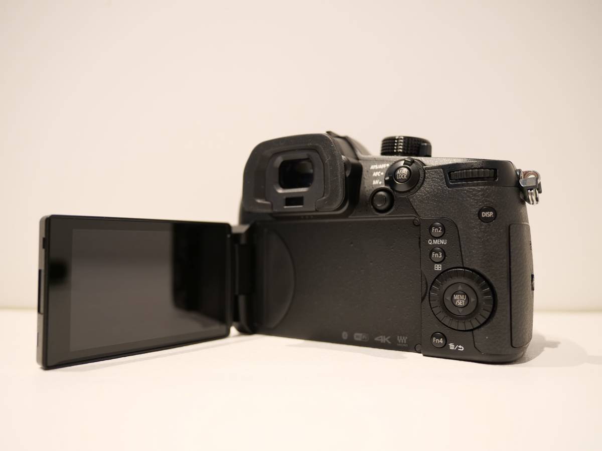 Panasonic LUMIX DC-GH5 / LUMIX G 14mm F2.5 ASPH RD-SPM049 #1395 Panasonic Mirrorless Lumix | Wikipedia Shots