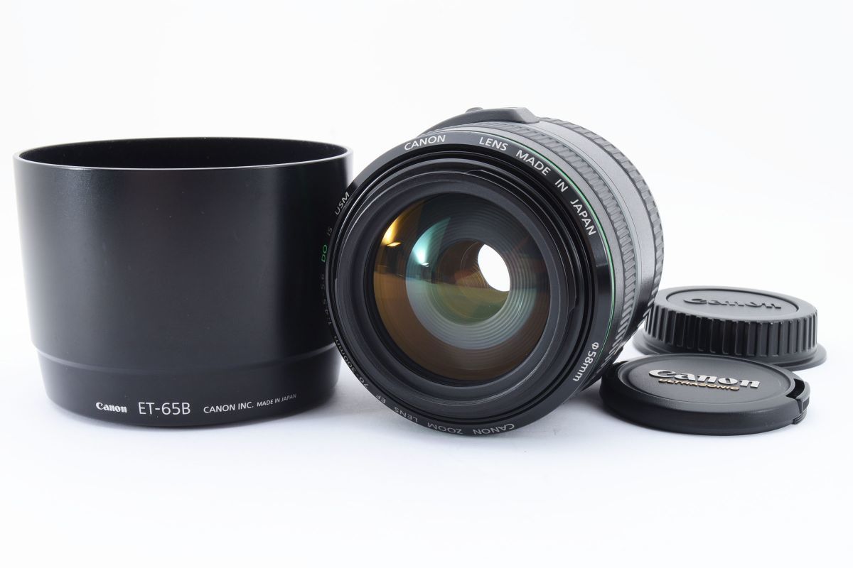 Canon 70-300mm USM EF IS f⁄4-5.6 Lens II : Review com Zoom f