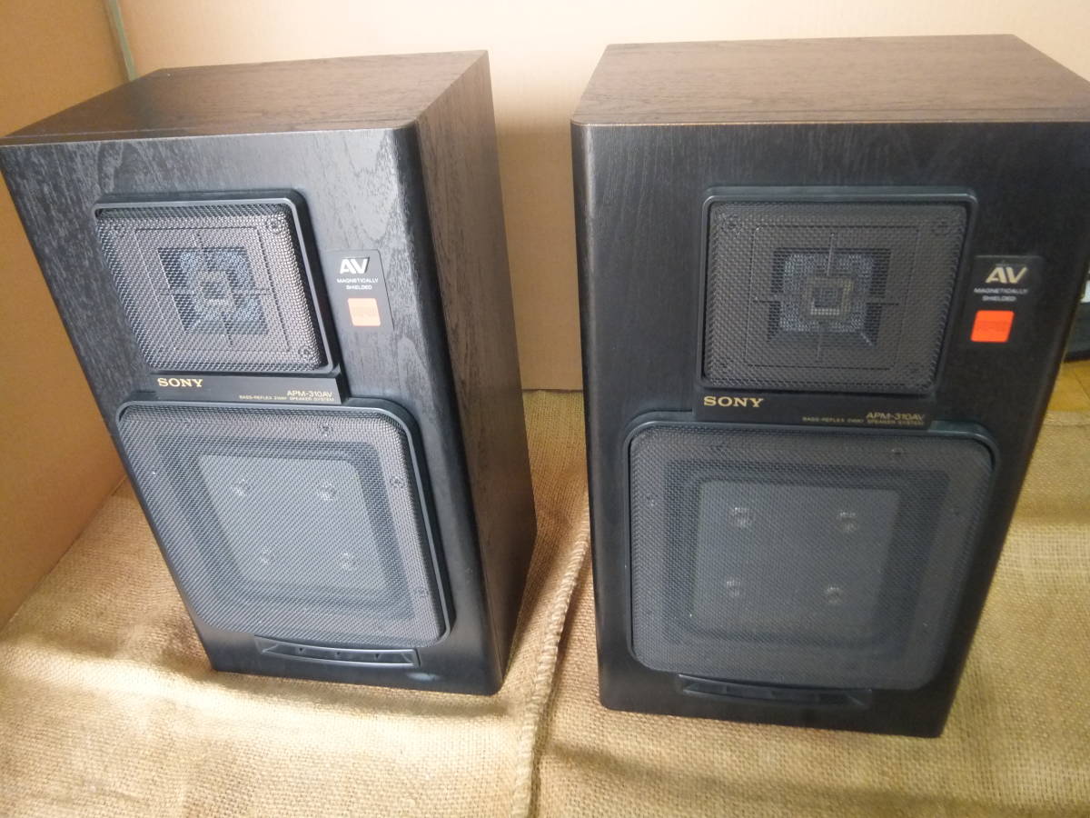 人気定番，格安】 SONY ソニー APM-310AV 平面スピーカー