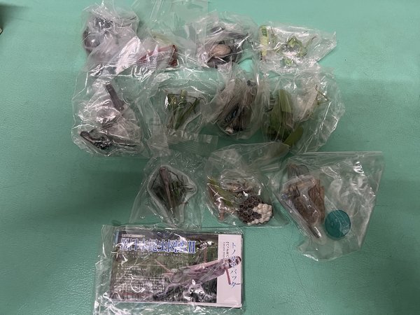 yujin　原色昆虫図鑑　3弾　全７種
