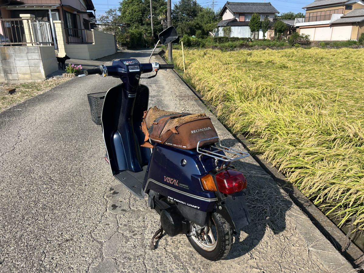 世田谷区近辺配送可能 11箱セット 最高級品質の猫砂 エバーグリーン