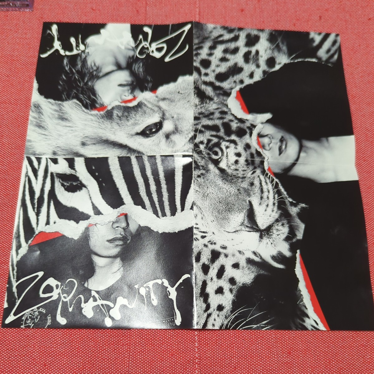 ZOOMANITY　　　a flood of circle_7