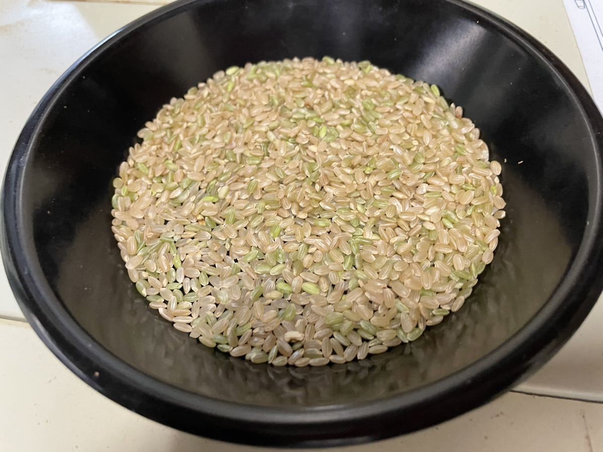 魚沼産コシヒカリ 中米 20キロ 令和7年産 中米 夏のセール