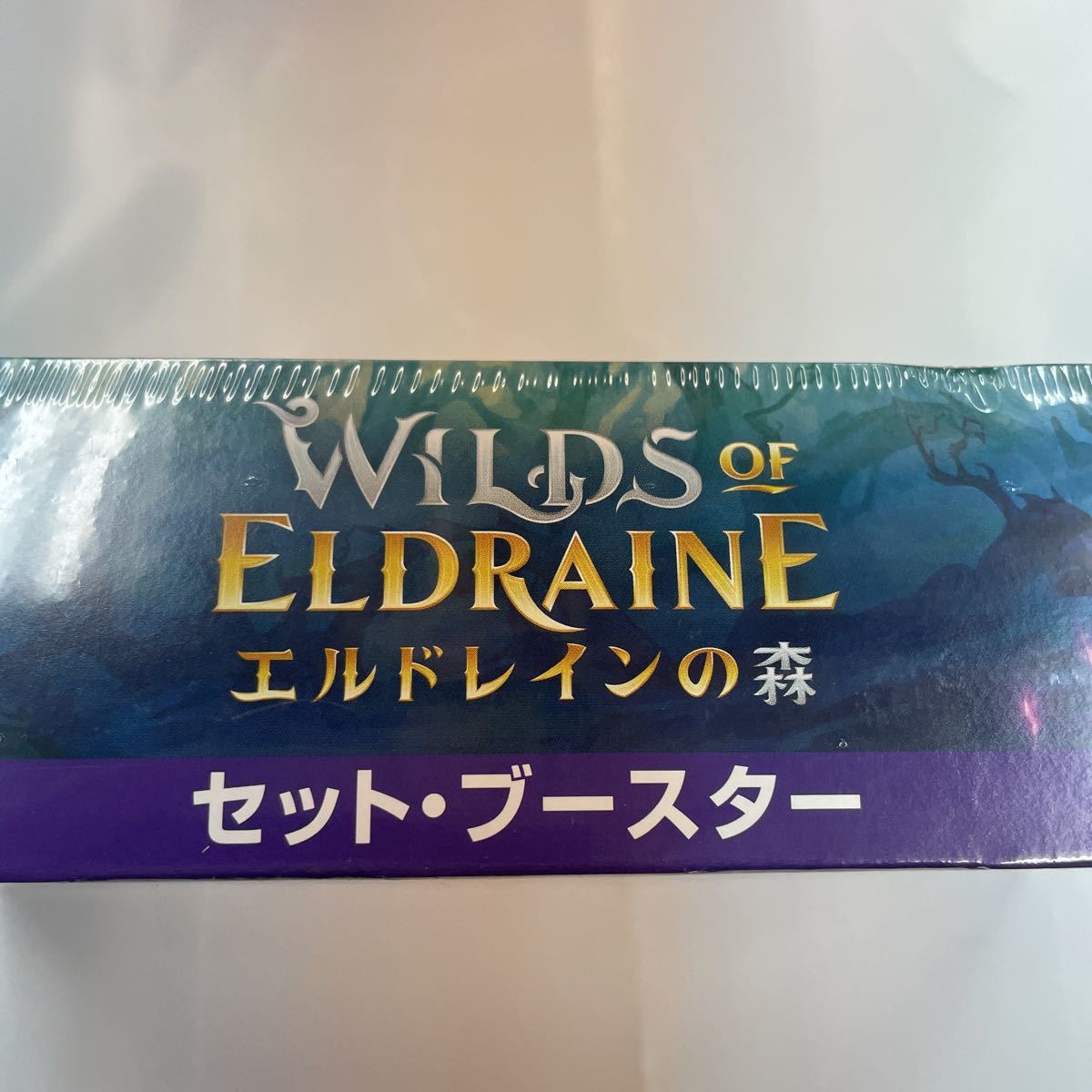 MTG エルドレインの森 コレクター・ブースター 日本語 新品未開封シュリンク付 MTG エルドレインの森 コレクター・ブースター 日本語版 日本語版 エル