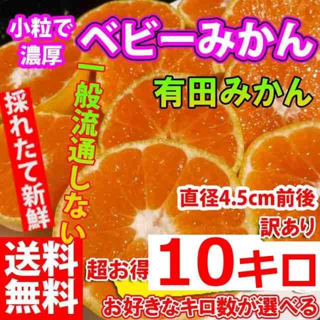 激レア小粒直径4.5cm前後 みかん 10kg 訳ありみかん10kg(+約0.5kg多め