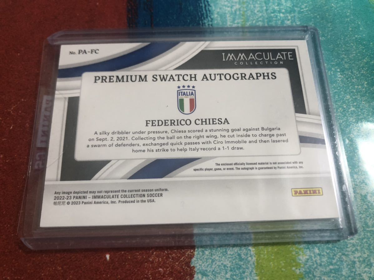 Panini Immaculate Soccer Checklist, Info 2024-25 2023-24