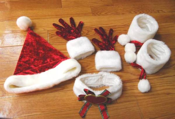 三国無双６　王元姫サンタver　コスプレ衣装　無双オロチ２_3