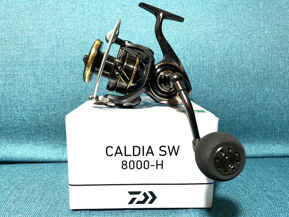 オンラインショッピング ダイワ 22カルディアSW8000-H 【公式通販】
