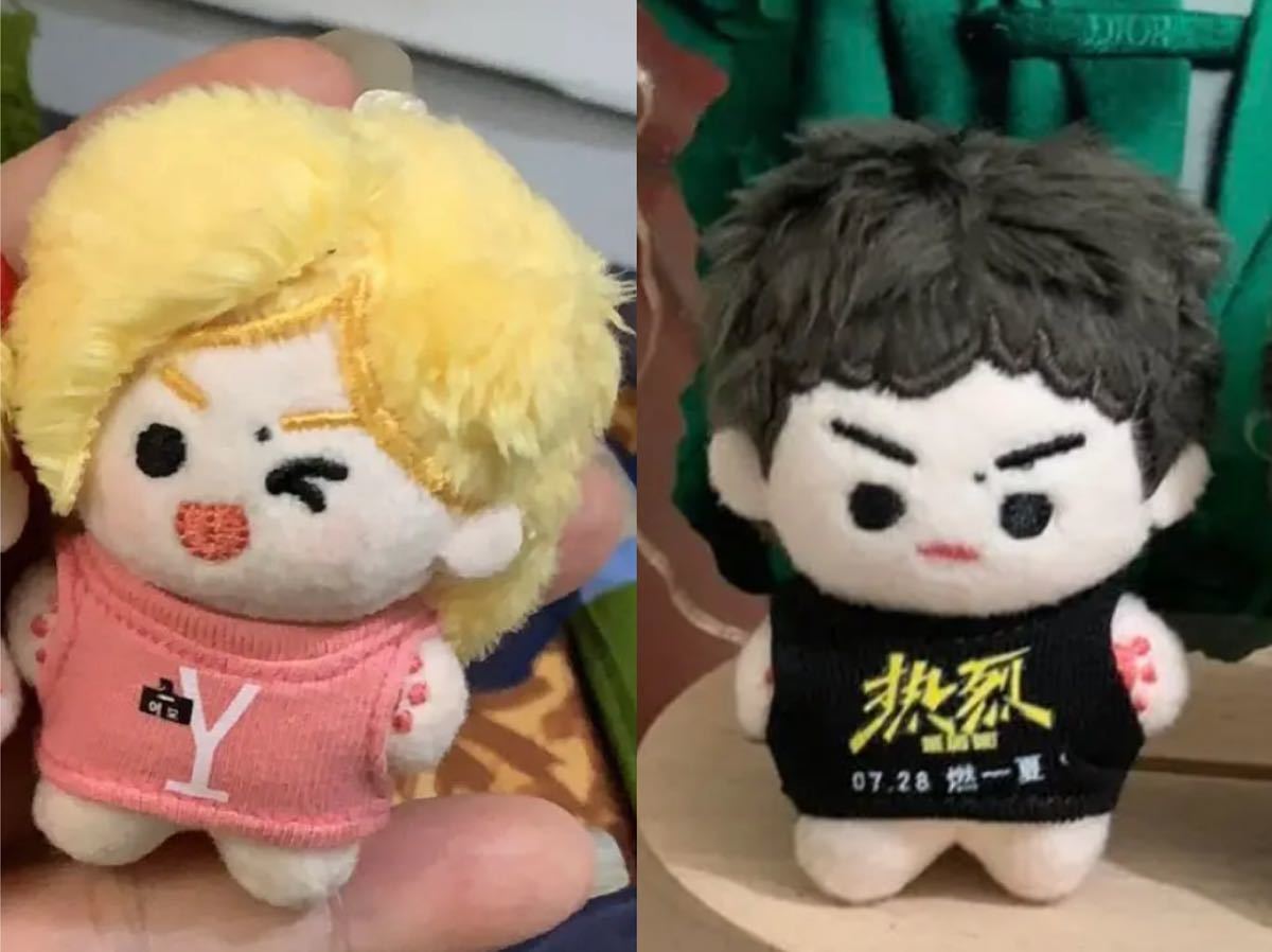 即発送 5cm 王一博 ぬいぐるみ 本体2個 博君一肖 陳情令 丹丹