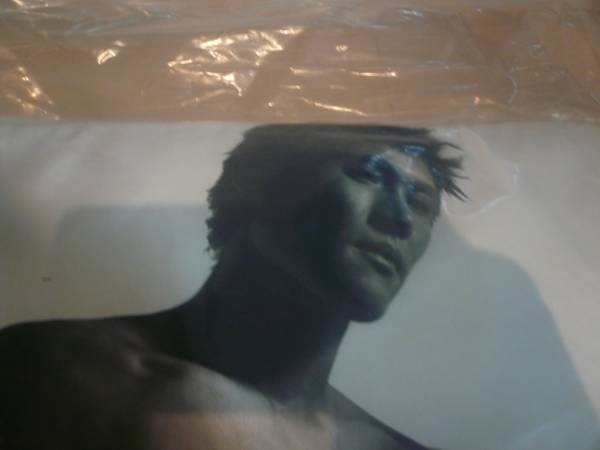 通販 人気 Gunze 新庄剛のクッション 枕