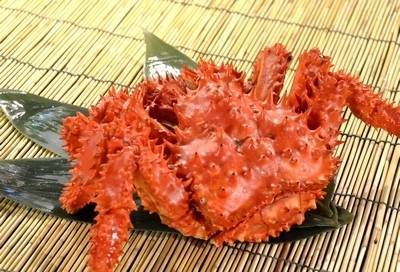 北海北の味】数量限定品 極上 BIGサイズ【堅活蟹】オホーツク産活