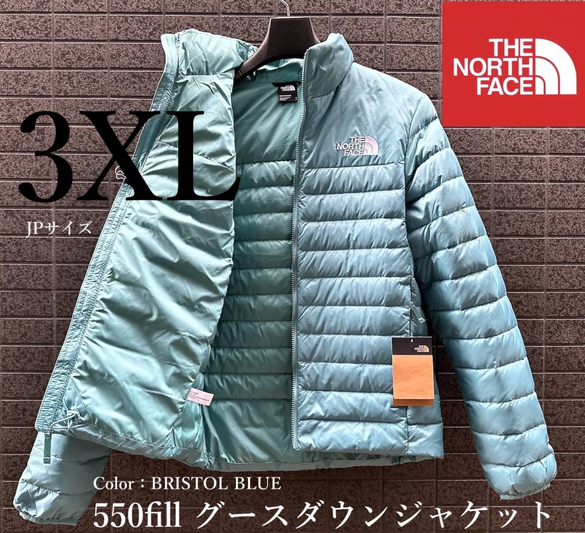 モデル出品◇新品 3XLサイズ ノースフェイス USAモデル 青フレアグース 
