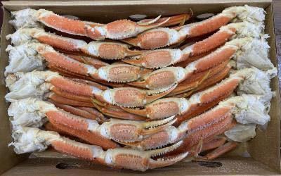 特大　新物ズワイガニボイル 業務用　ロシア産　4L10kg 28肩程度　冷凍　ずわいがに　蟹_1