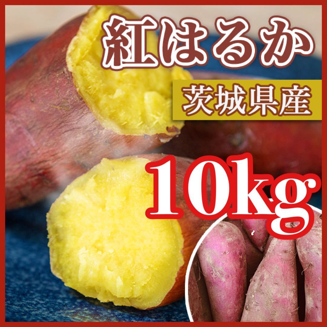 茨城県産紅はるかM100キロ　海花品 熟成品】 10kg さつまいも 紅はるか 茨城県産 産地直送 【公式通販】