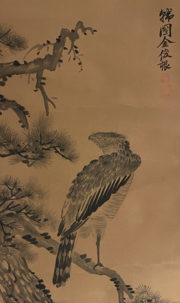 朝鮮王朝 絵画 模写 朝鮮王朝後期 画家 金俊根 鷹図 花鳥画 絹本 朝鮮