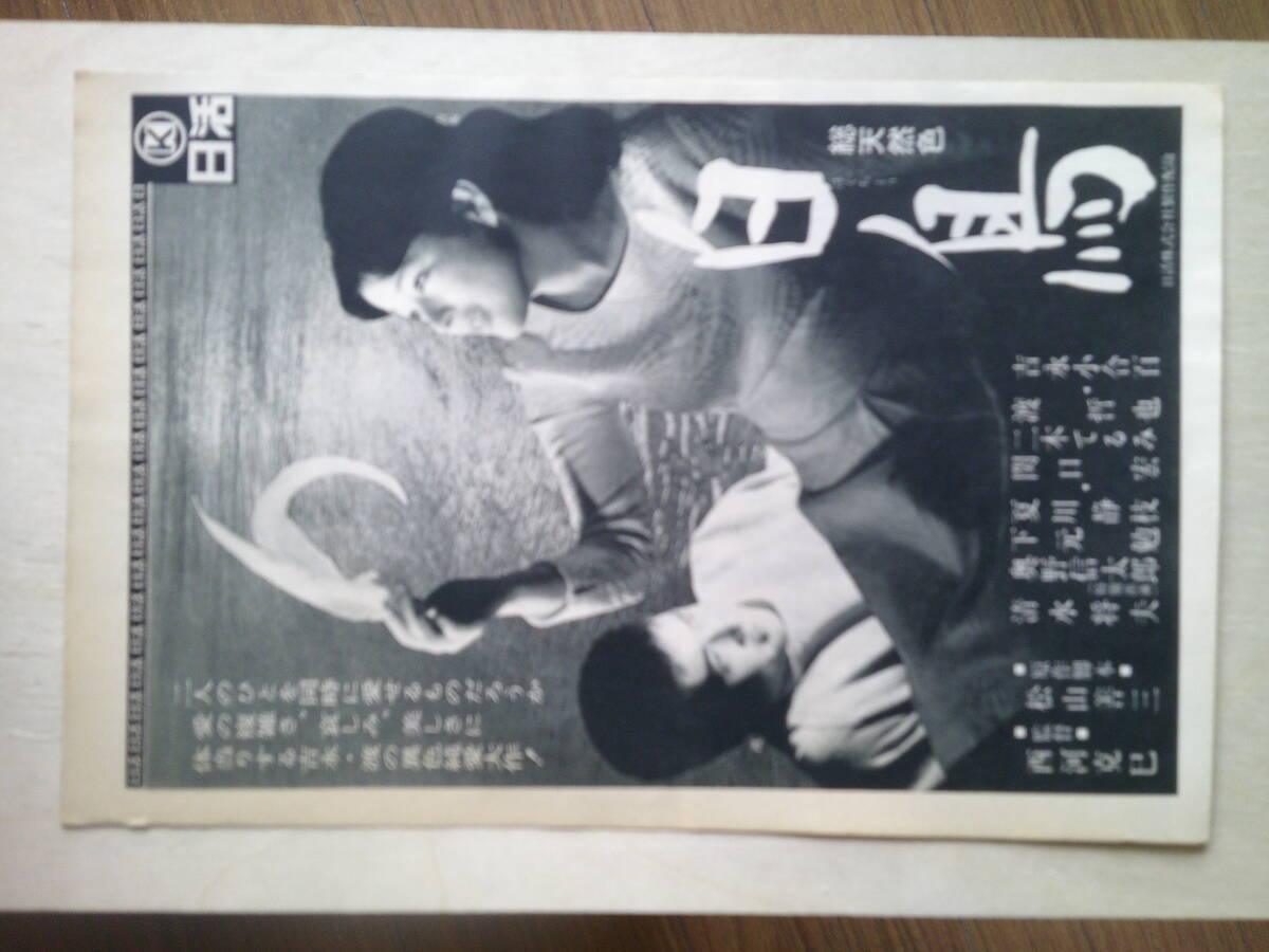 白鳥◇吉永小百合◇1966年劇場公開時の全面広告◇B5サイズ◇渡