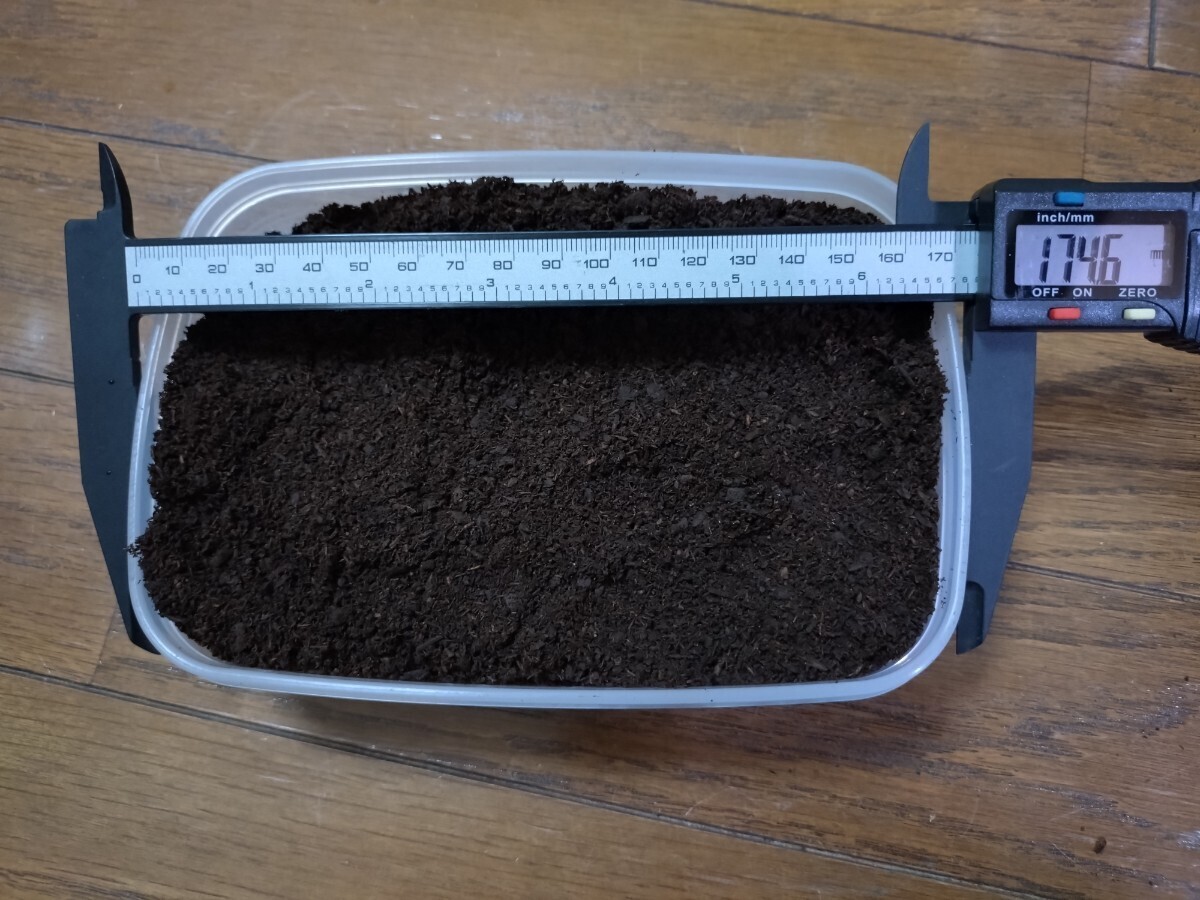 国産カブトムシ 幼虫（初2令）8頭【江田島 レッドボディ・レッドアイ】 その② 江田島産RR (管理No.1)_7