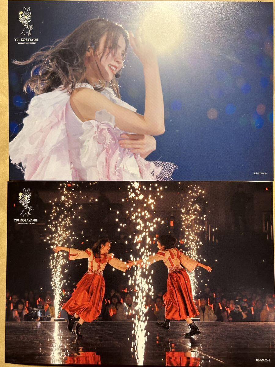 櫻坂46 小林由依　YUI KOBAYASHI GRADUATION CONCERT　完全生産限定盤　シリアルナンバー未登録_3