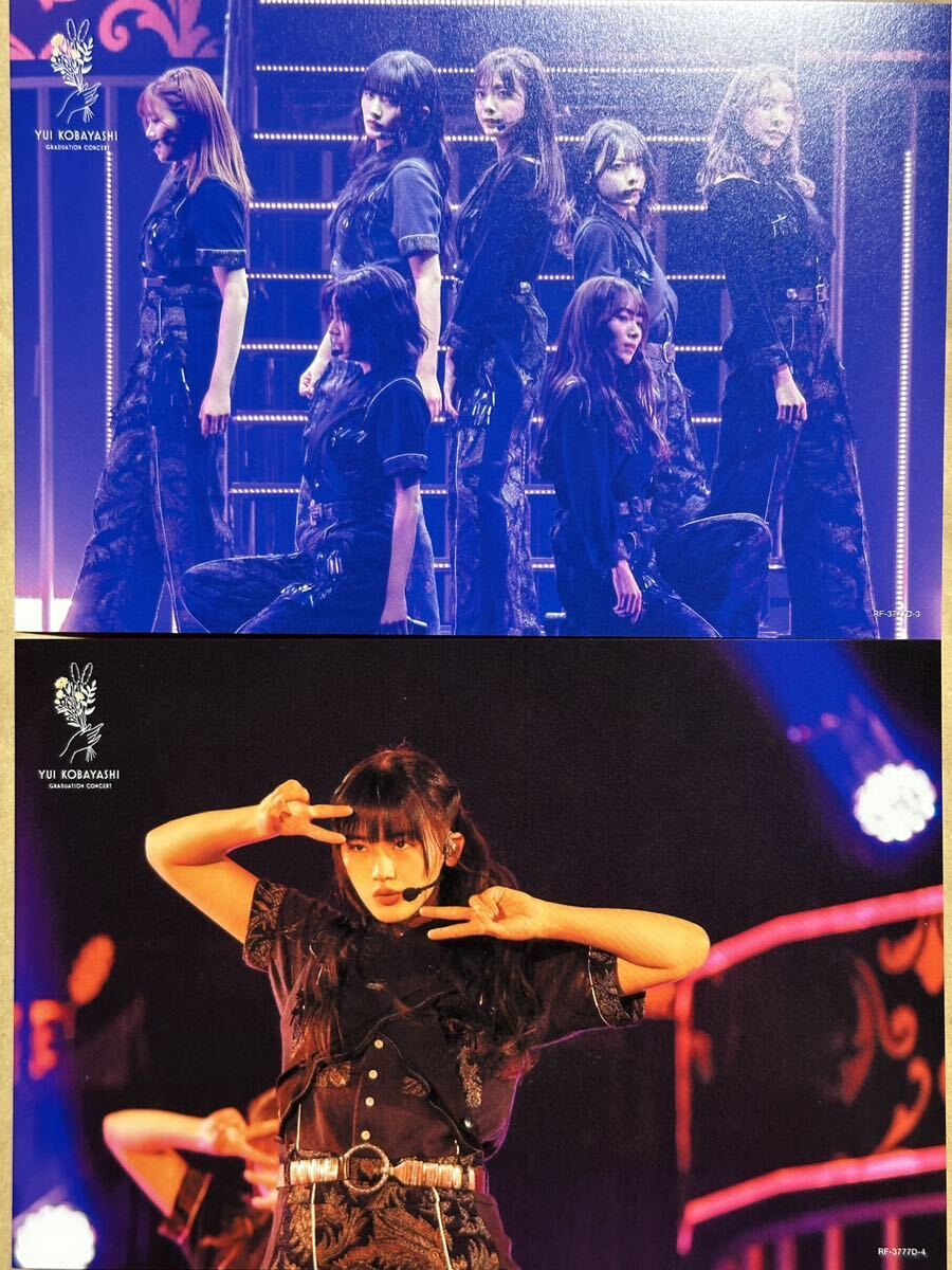 櫻坂46 小林由依　YUI KOBAYASHI GRADUATION CONCERT　完全生産限定盤　シリアルナンバー未登録_4