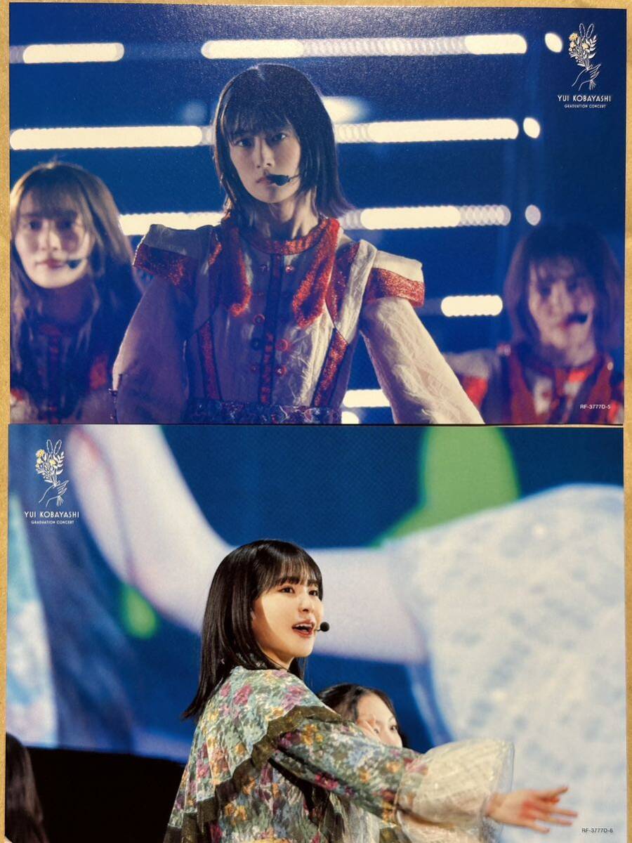 櫻坂46 小林由依　YUI KOBAYASHI GRADUATION CONCERT　完全生産限定盤　シリアルナンバー未登録_5