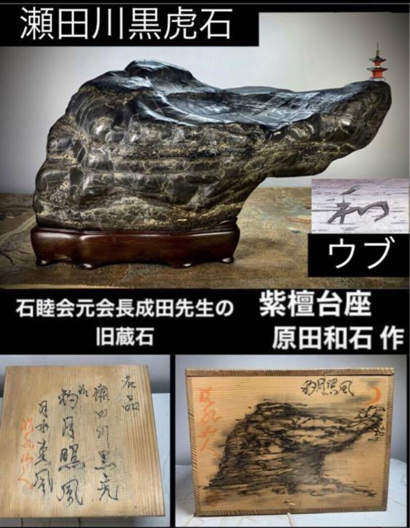 秋の感謝祭】水石 盆栽 《名品》瀬田川黒虎石 ウブ『豹月照風』桐箱付