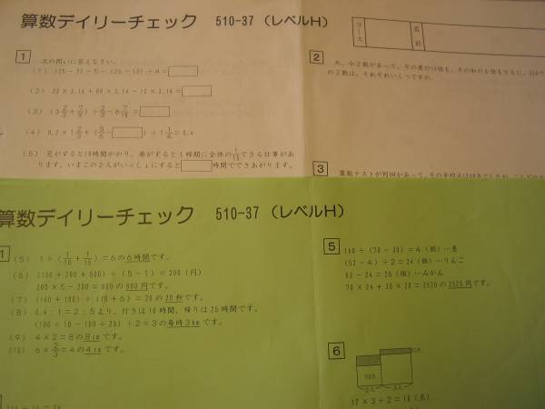 SAPIX デイリーチェック 算数5年 最上級 H レベル計37分冊の入札履歴