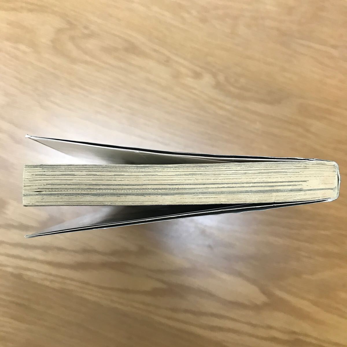 【送料無料 初版】幽霊学級 西崎正著 立風書房 レモンコミックス 恐怖コミック / k660_5